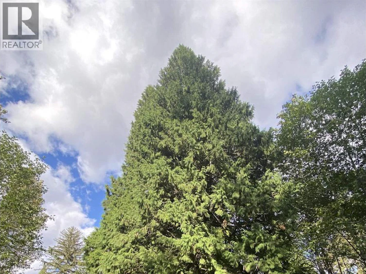 6234 Nelson Road, Terrace, BC, V8G 0E2 - 30