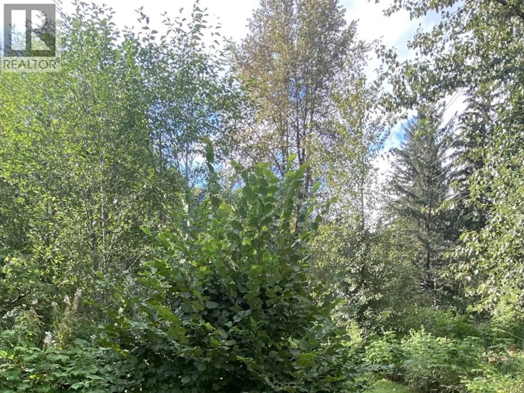 6234 Nelson Road, Terrace, BC, V8G 0E2 - 24