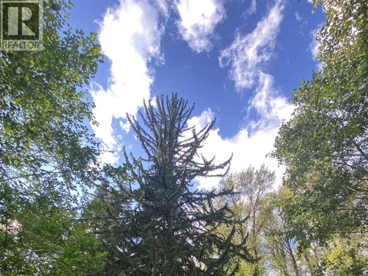 6234 Nelson Road, Terrace, BC, V8G 0E2 - 28