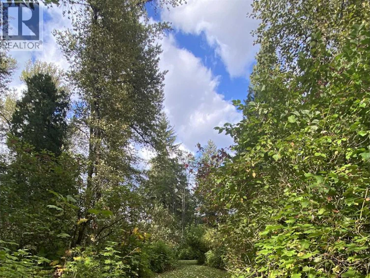 6234 Nelson Road, Terrace, BC, V8G 0E2 - 29