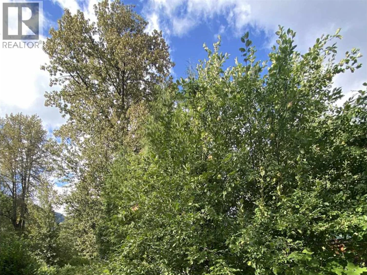 6234 Nelson Road, Terrace, BC, V8G 0E2 - 26