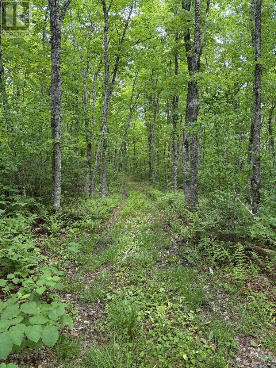 Lot (PID-20098885 Truro Road, East New Annan, NS, B0K 1V0
