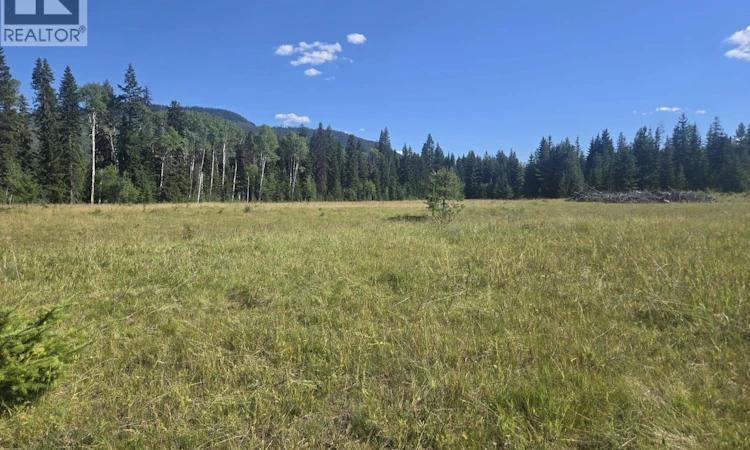 3680 Miller Lake Fsr Forest