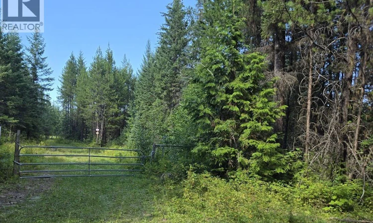 3680 Miller Lake Fsr Forest