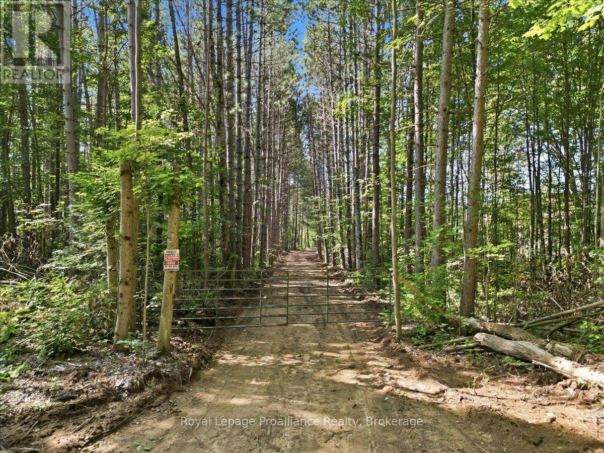 292 Hartin Road, Addington Highlands, ON, K0H 2G0