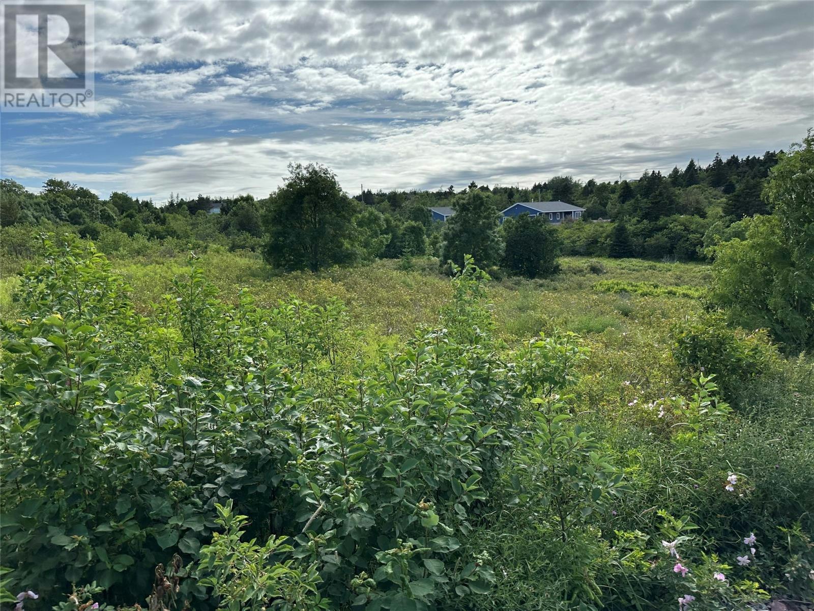 15 Spring Road, South Brook, NL, A0A 2P0