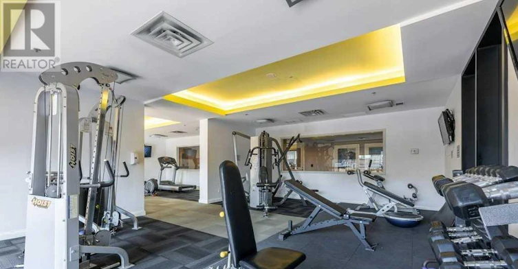 203-100 Western Battery Road, Toronto, ON, M6K 3S2 - 12