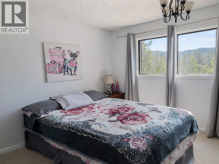 357 Old Hedley Road, Princeton, BC, V0X 1W0 - 9