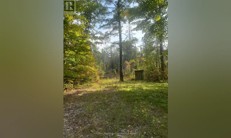 0 Pineview Court
