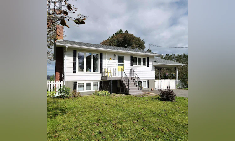 41 Penny Lane
