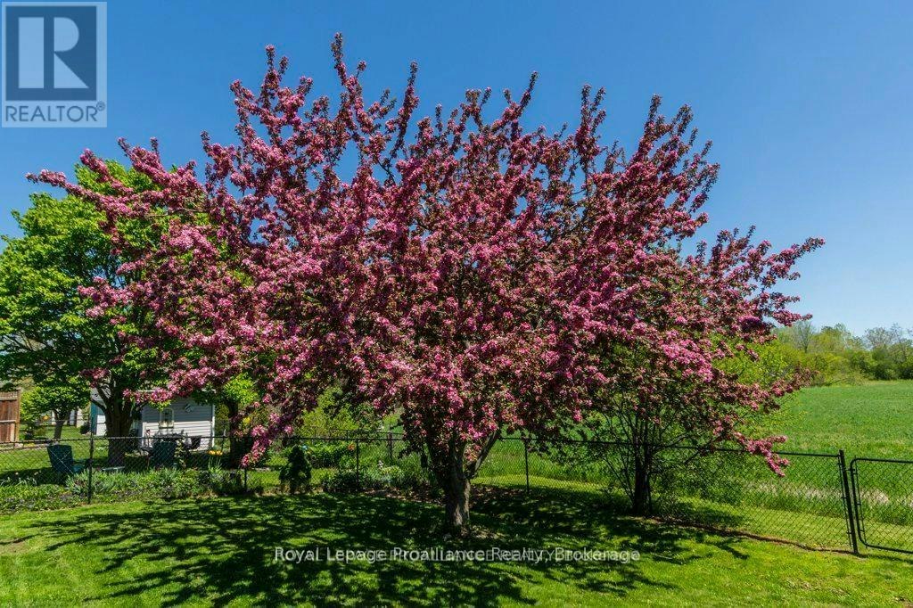 51 Applewood Drive, Brighton, ON, K0K 1H0 - 36