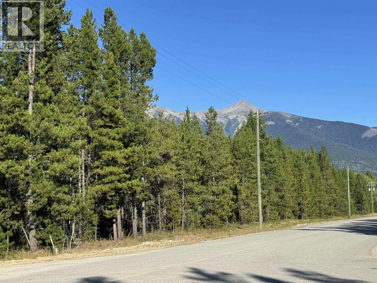 1250 17th Avenue, Valemount, BC, V0E 2Z0