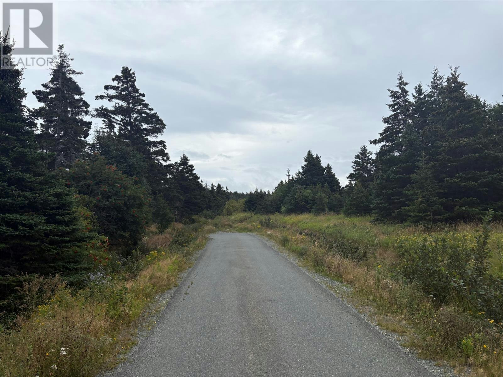 7-15 Connors Lane, Pouch Cove, NL, A0A 3L0