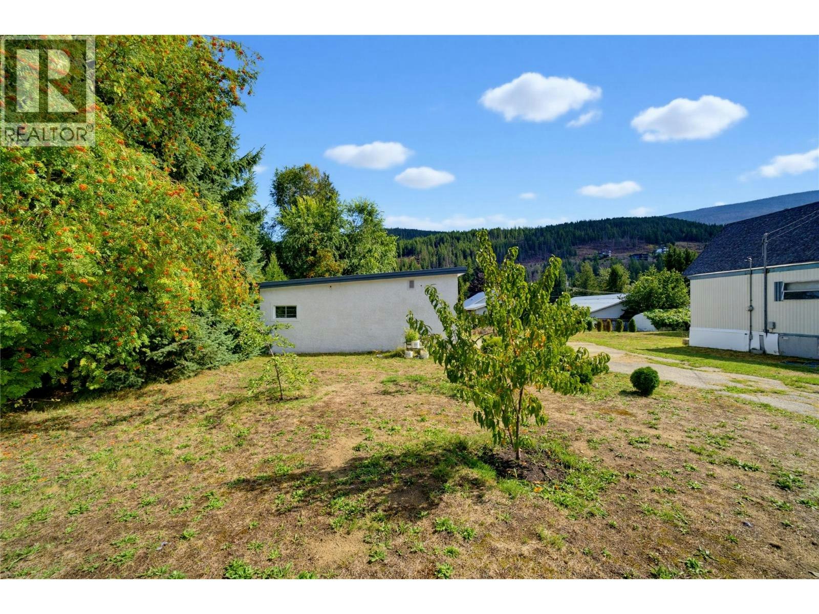 405 Gillis Avenue, Sicamous, BC, V0E 2V1 - 49