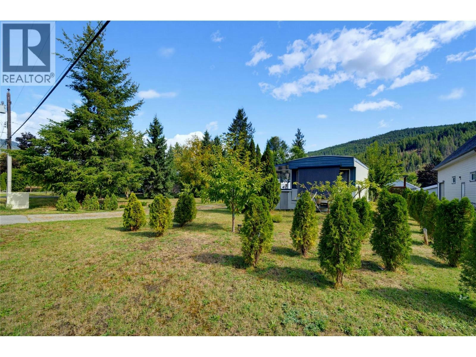 405 Gillis Avenue, Sicamous, BC, V0E 2V1 - 36