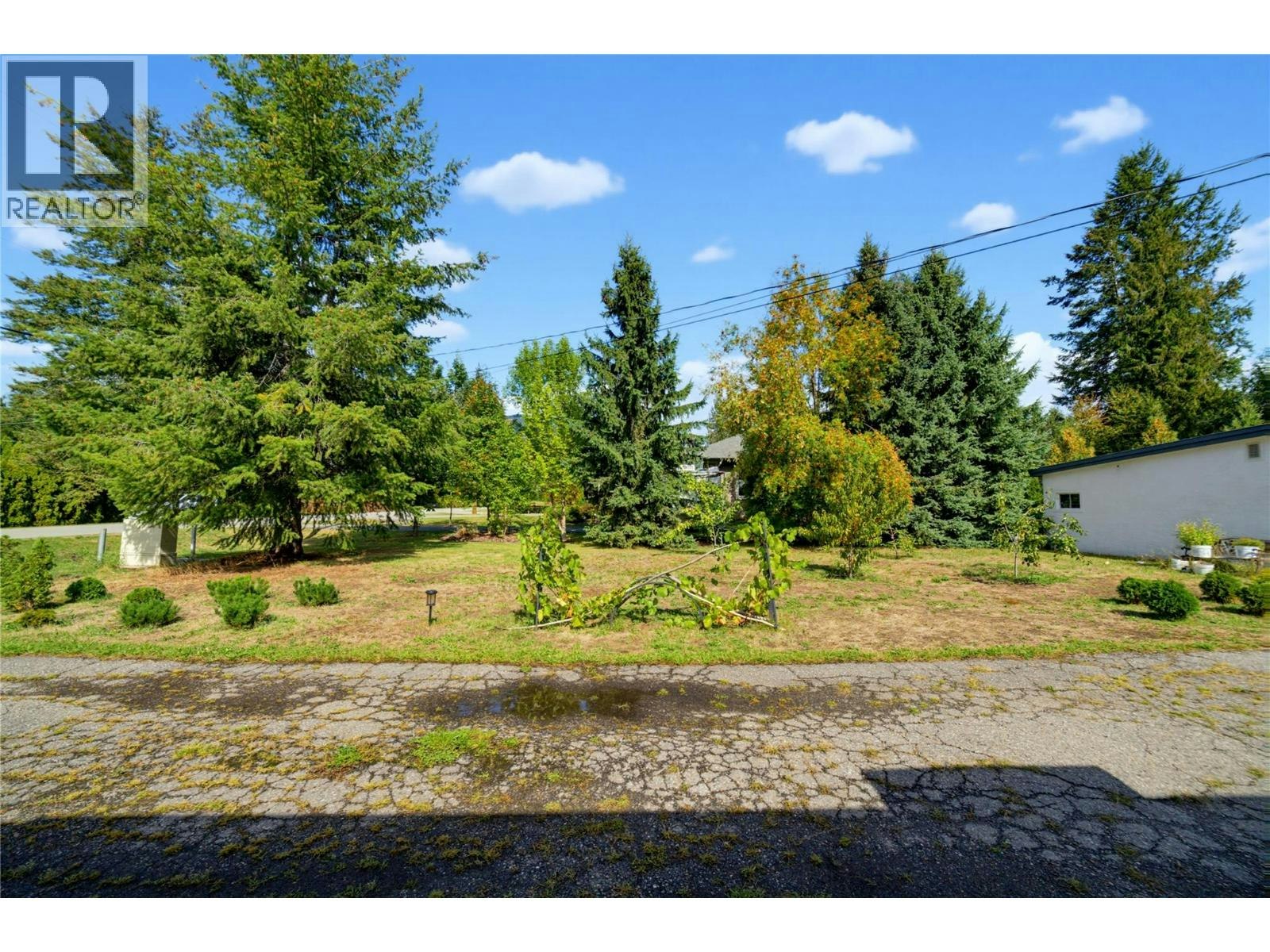 405 Gillis Avenue, Sicamous, BC, V0E 2V1 - 38