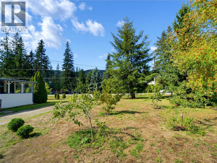 405 Gillis Avenue, Sicamous, BC, V0E 2V1 - 47