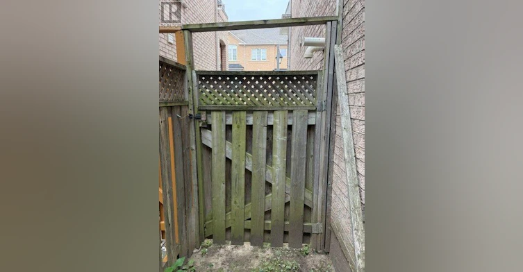 STUDIO BASEMENT-28 Ignatius Lane, Toronto, ON, M1E 0A3 - 10