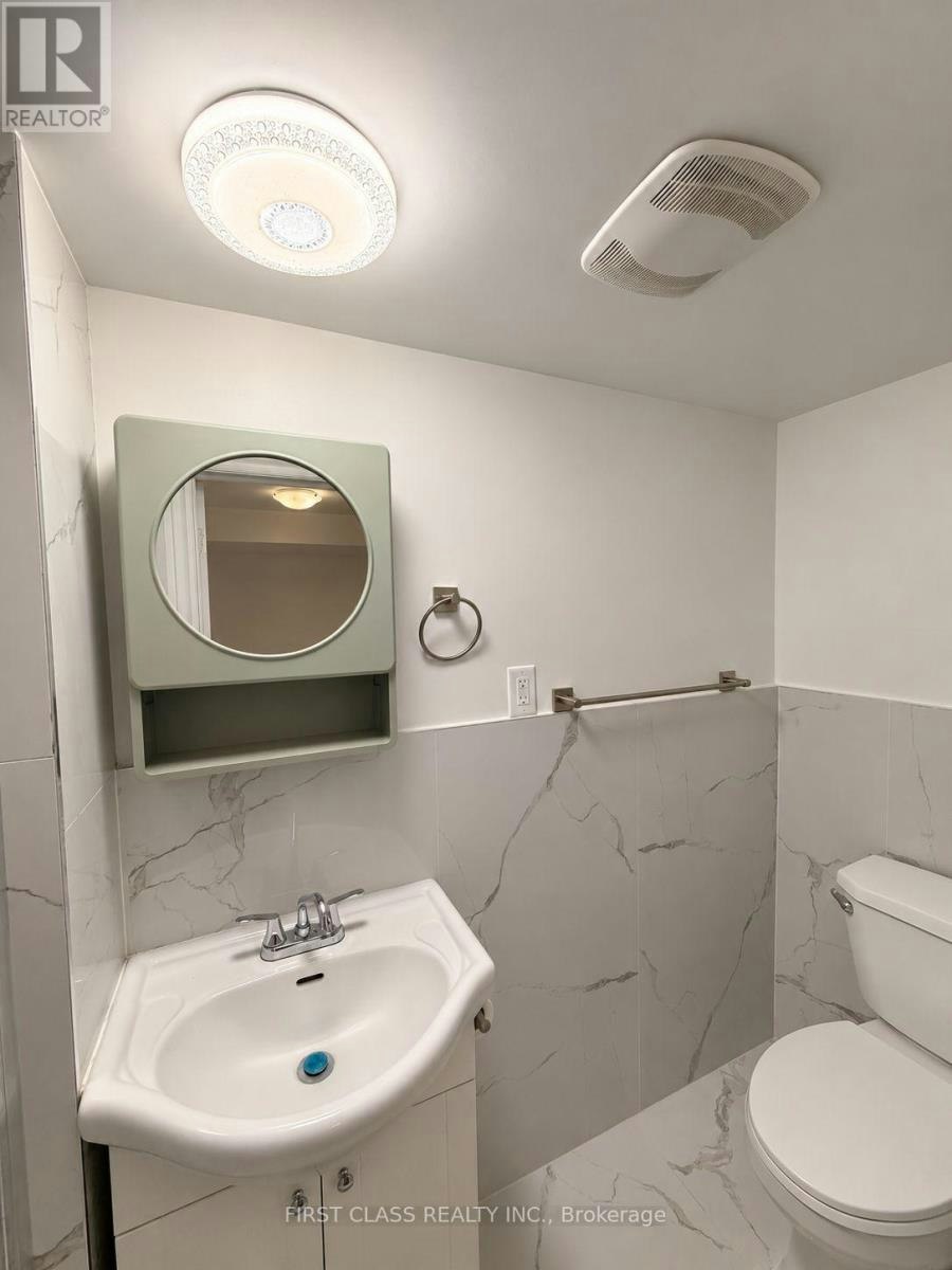 LOWER-55 Huron Street, Toronto, ON, M5T 2A6 - 9