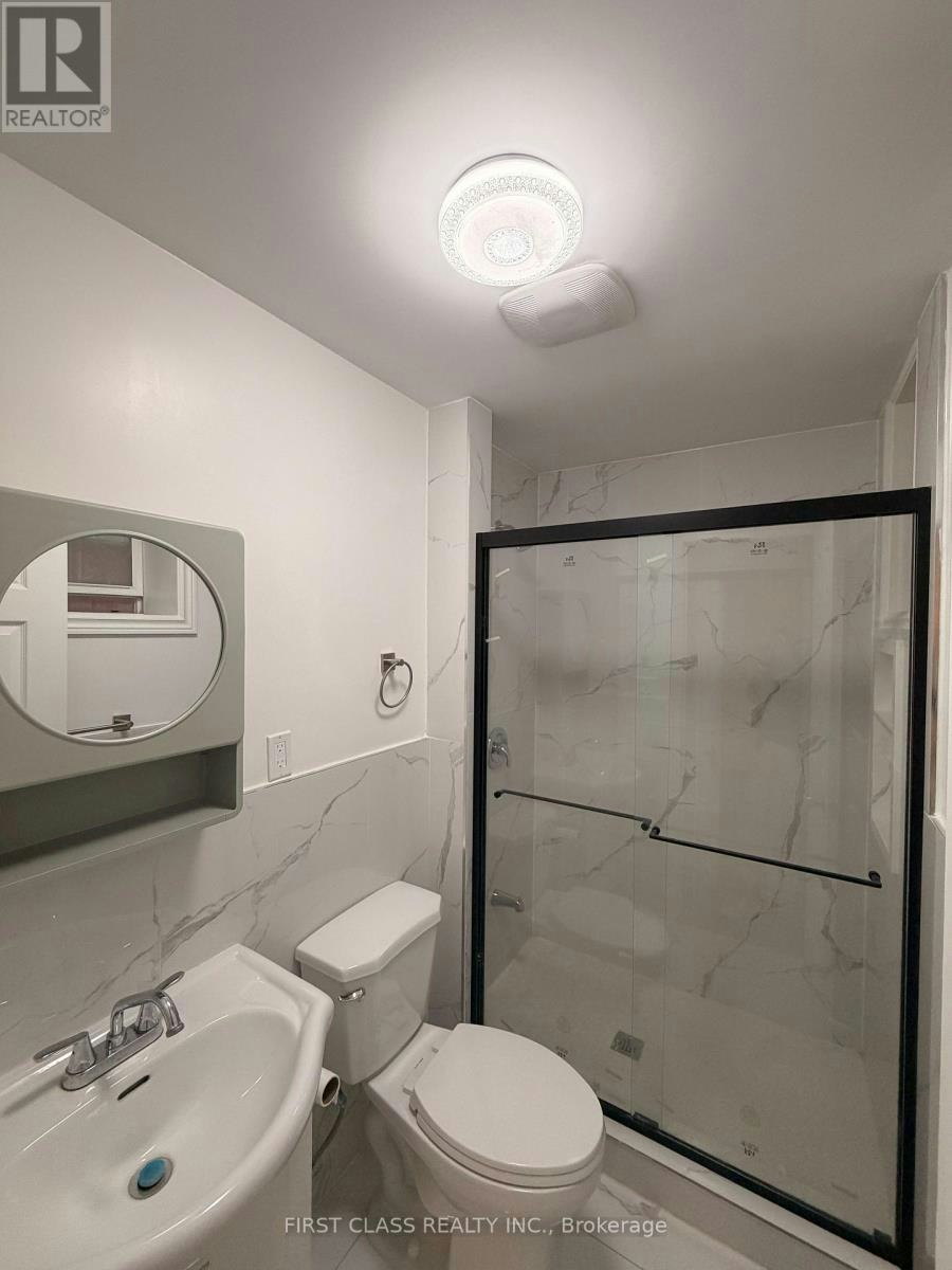 LOWER-55 Huron Street, Toronto, ON, M5T 2A6 - 20
