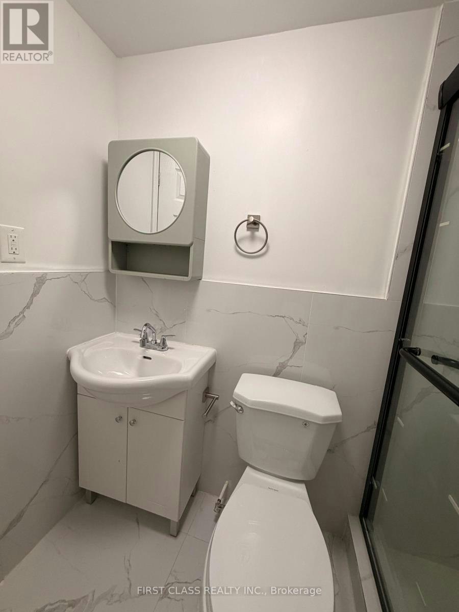 LOWER-55 Huron Street, Toronto, ON, M5T 2A6 - 14