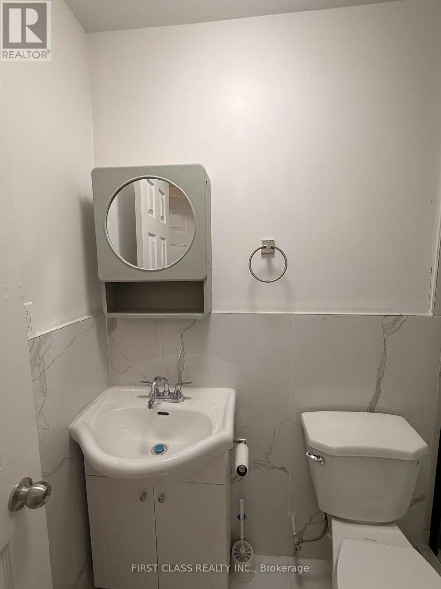LOWER-55 Huron Street, Toronto, ON, M5T 2A6 - 19