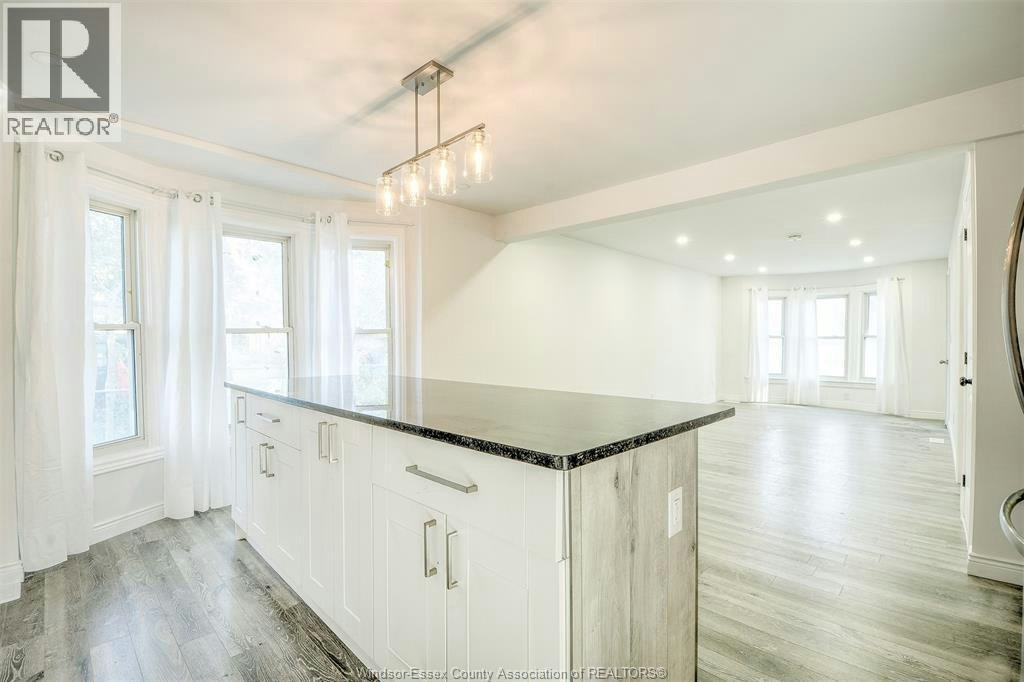 LOWER-3076 Sandwich, Windsor, ON, N9C 1A4 - 6