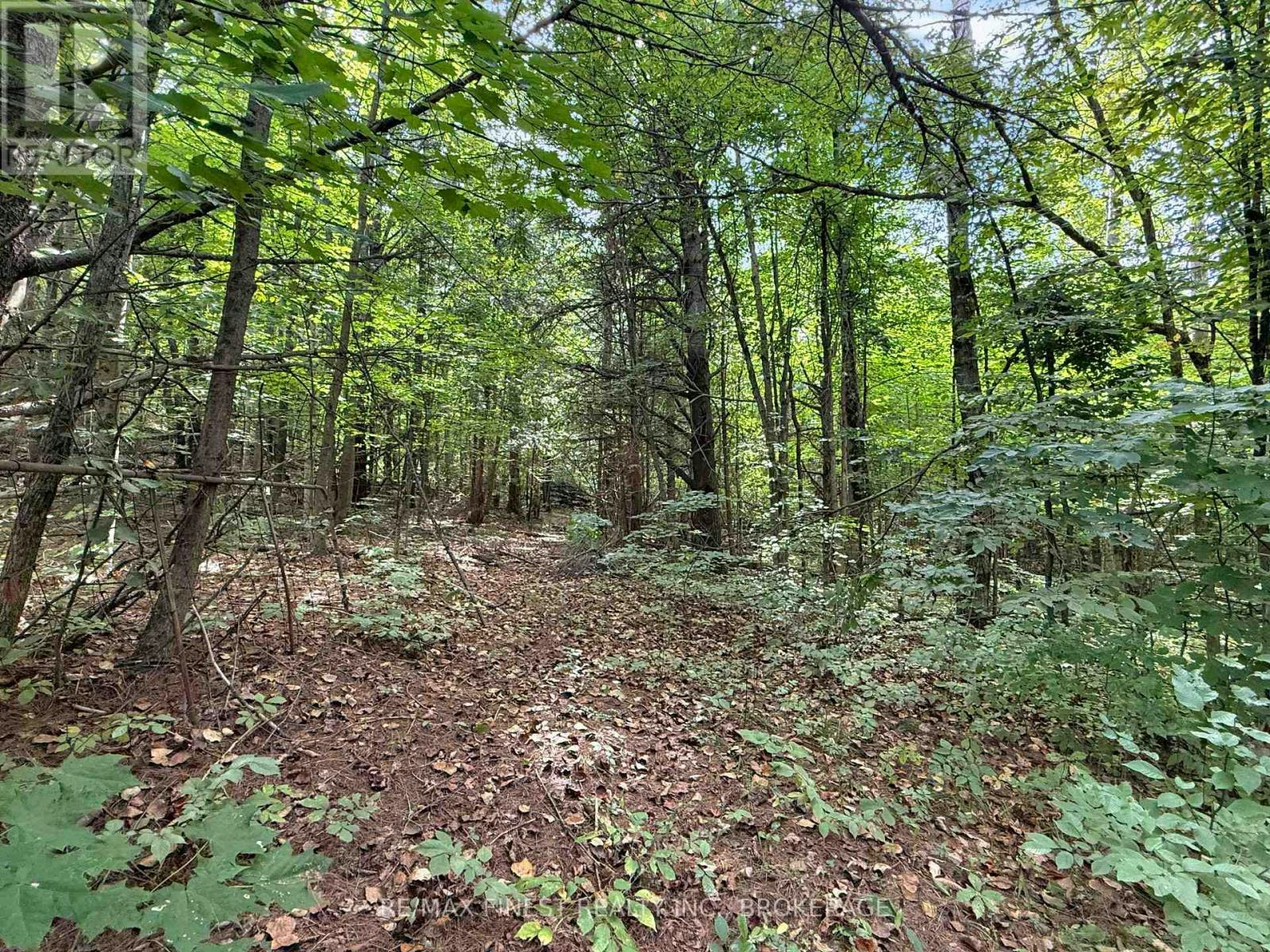 4900 County 4 Road