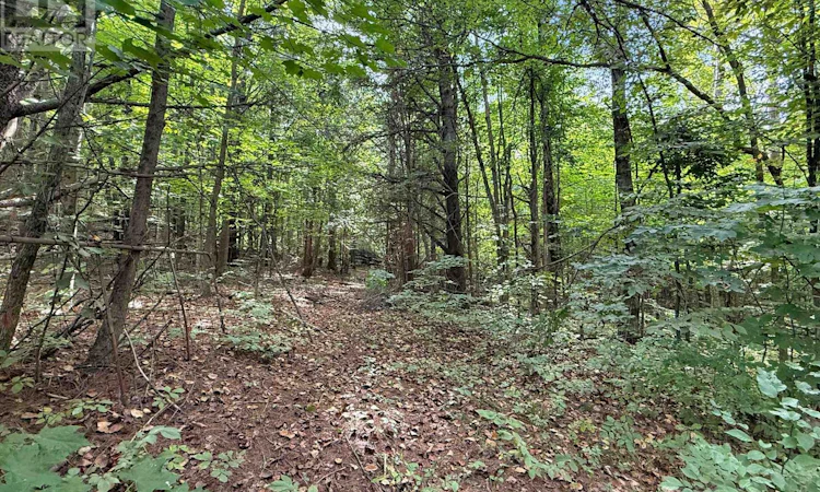 4900 County 4 Road