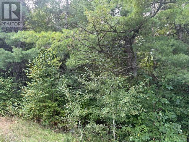 4900 County 4 Road, Stone Mills, ON, K0K 1Z0