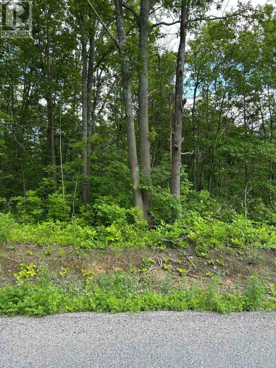 100-104 And 106 Dingman Road, Cramahe, ON, K0K 1M0
