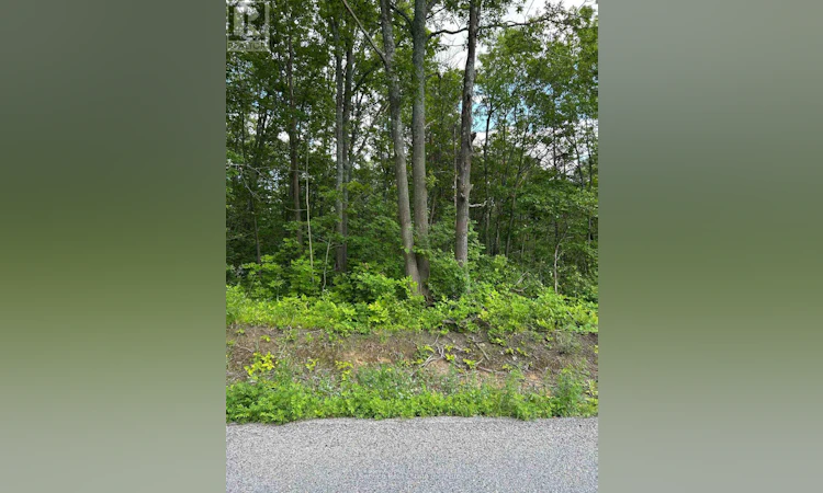 100-104 And 106 Dingman Road