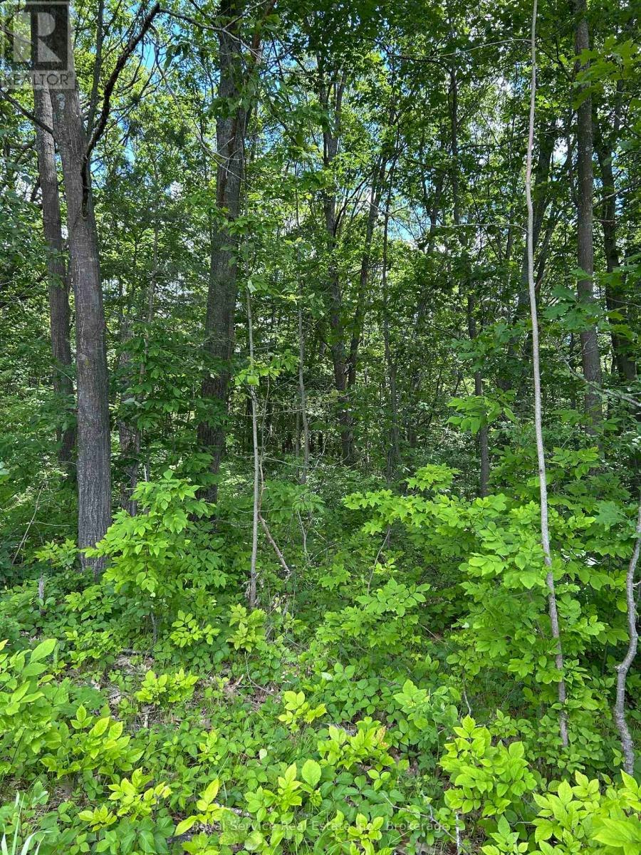 101-102 And 103 Dingman Road, Cramahe, ON, K0K 1M0