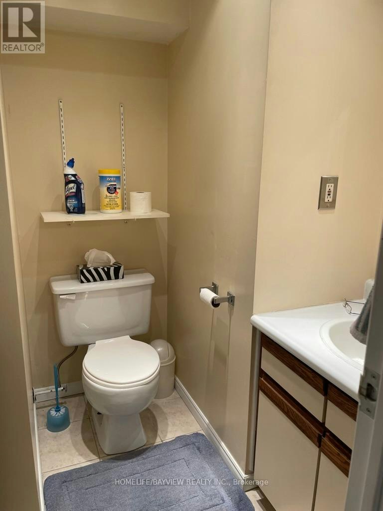 168 Observatory Lane, Richmond Hill, ON, L4C 8K7 - 19