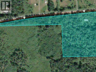 2224 Swan Road - 4