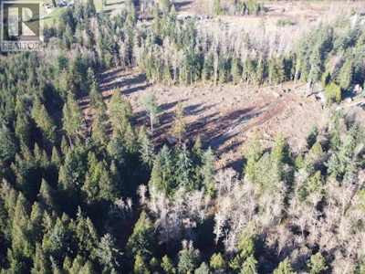 2224 Swan Road - 2