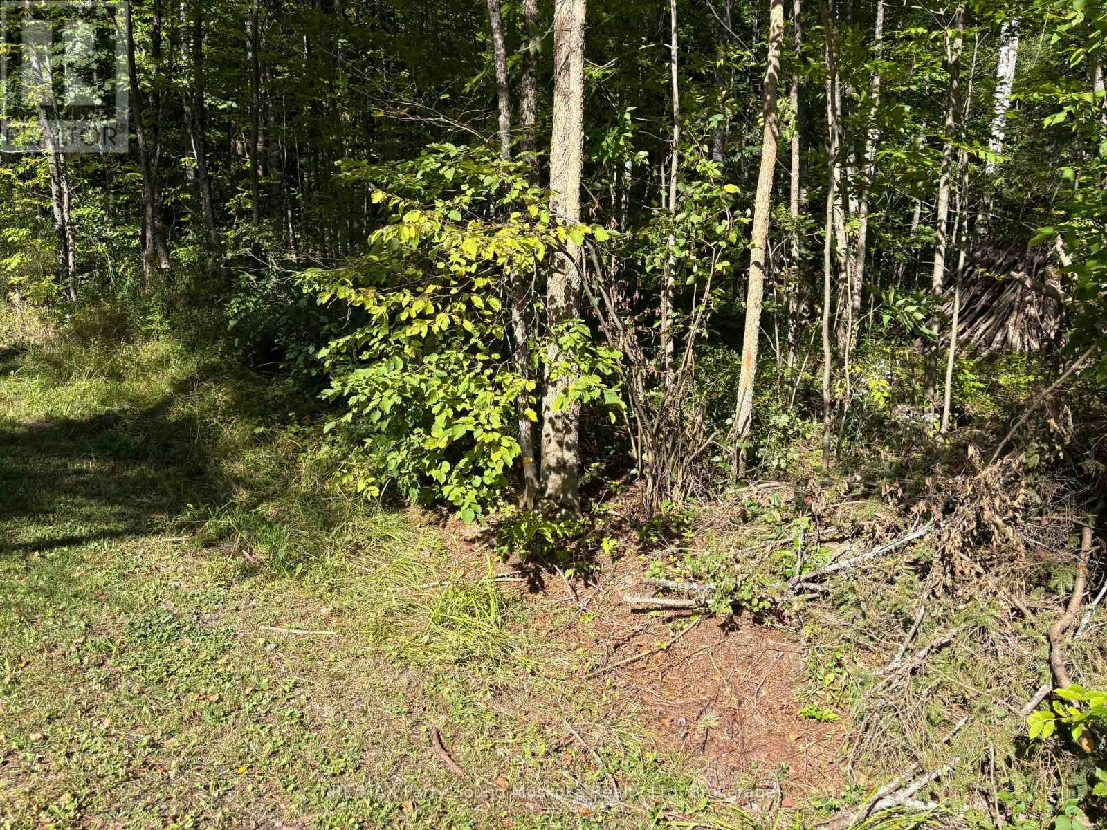 0 Pine Road, Magnetawan, ON, P0A 1A0
