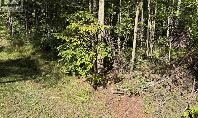 0 Pine Road