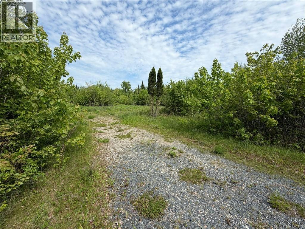 225 Black River Road South, Black River Bridge, NB, E1N 5S5