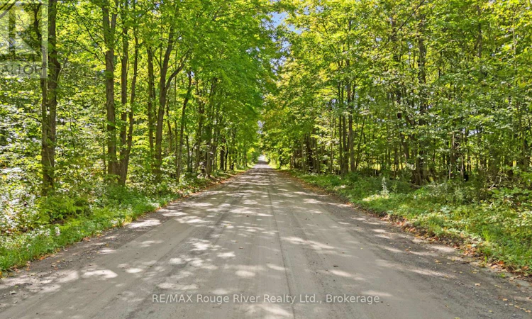 1321 Crowe River Road N