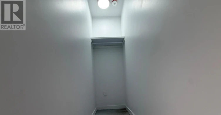 LOWER-152 Medland Street, Toronto, ON, M6P 2N5 - 5