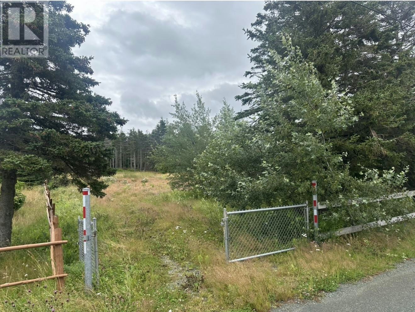 19 Dobbin's Road, Wabana, NL, A0A 4H0