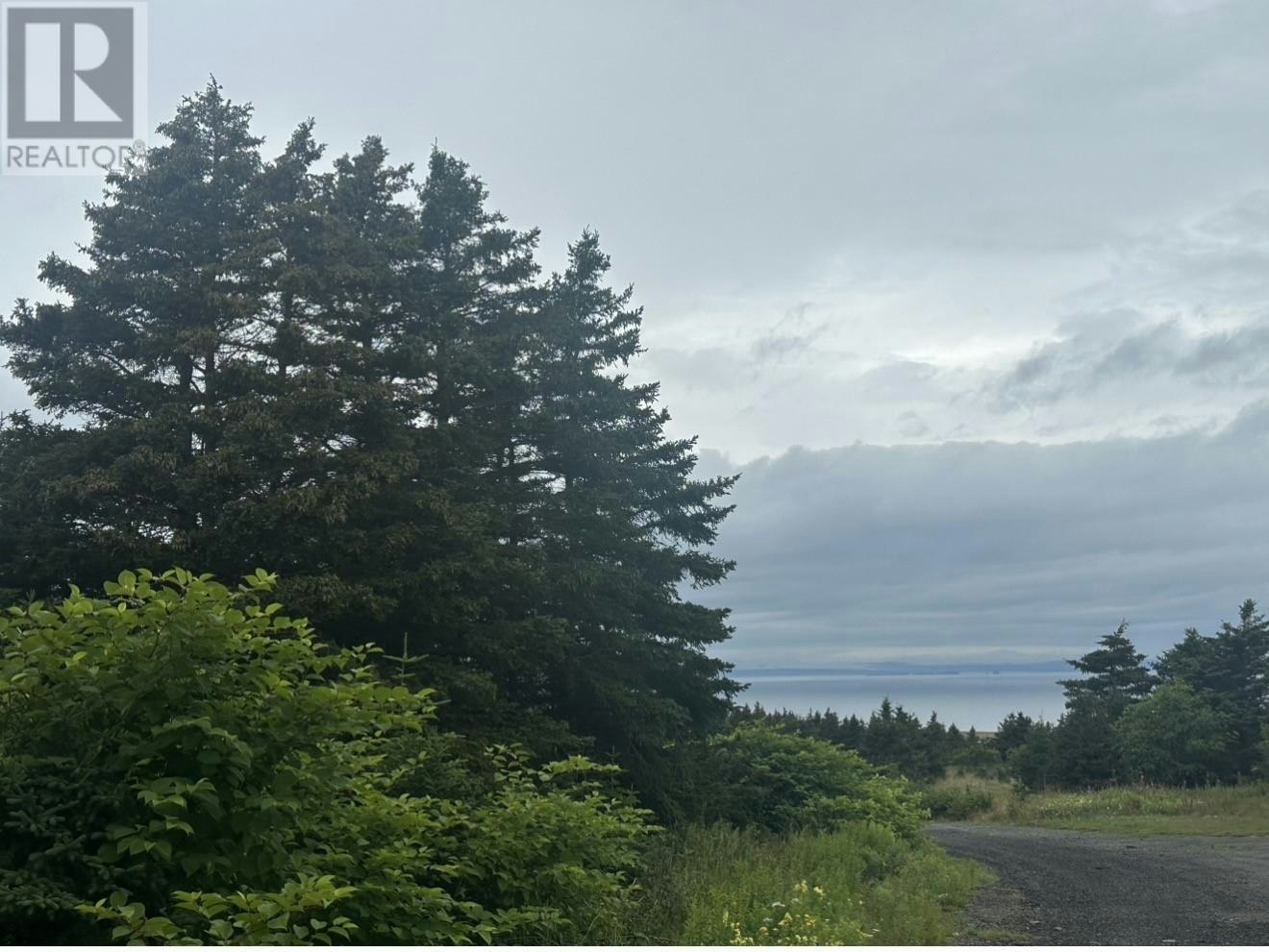 0 Back Road, Wabana, NL, A0A 4H0