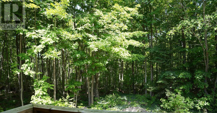 382488 17 Concession Road, Georgian Bluffs, ON, N0H 2T0 - 37