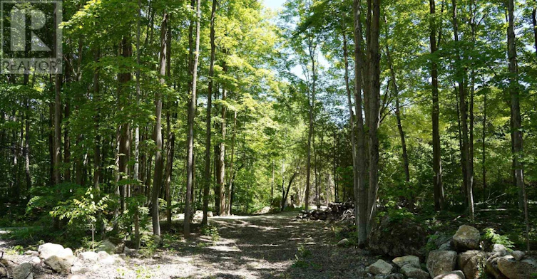 382488 17 Concession Road, Georgian Bluffs, ON, N0H 2T0 - 41