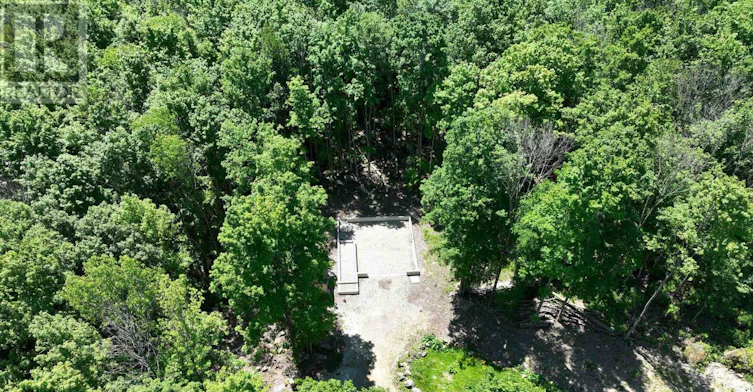 382488 17 Concession Road, Georgian Bluffs, ON, N0H 2T0 - 47