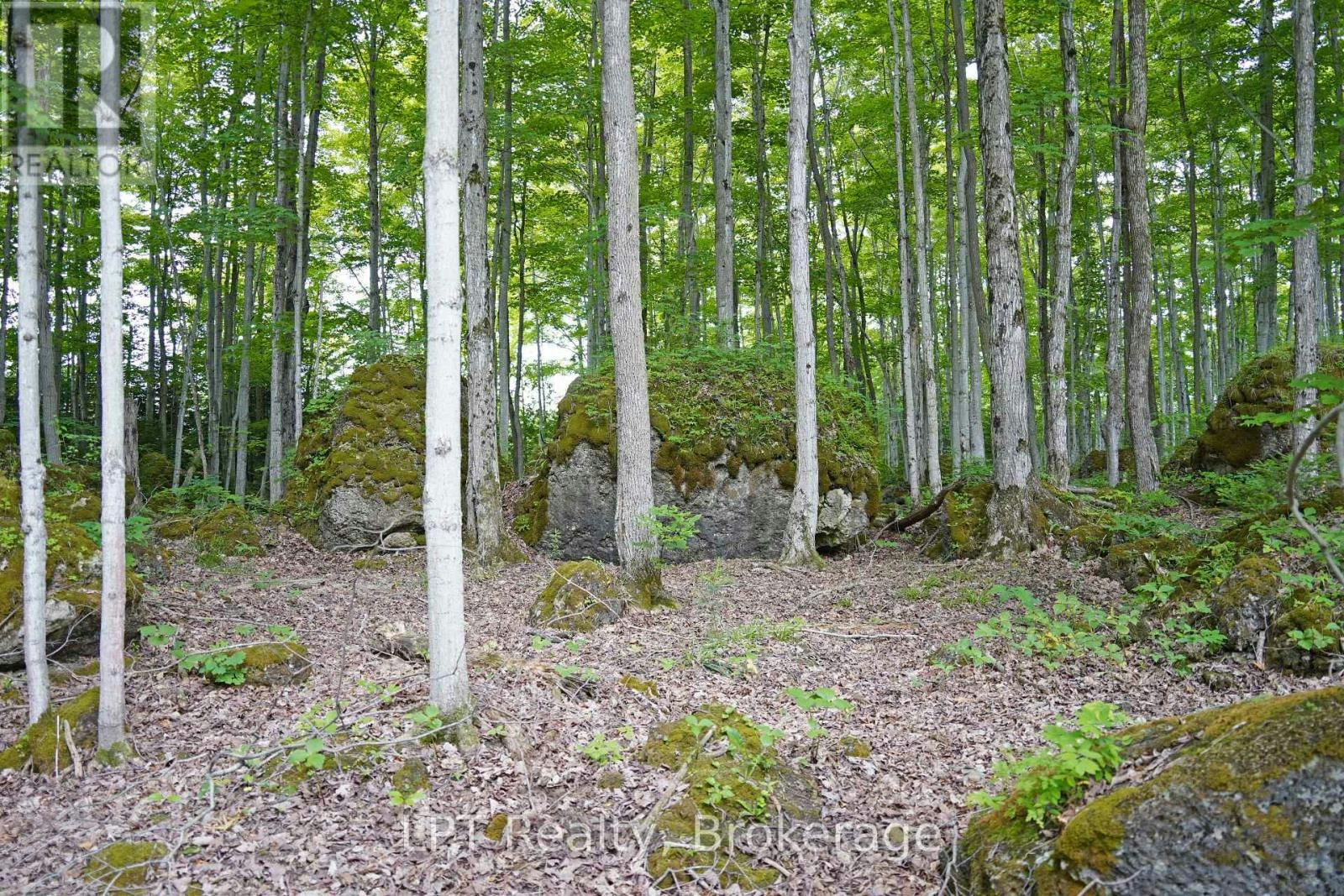 382488 17 Concession Road, Georgian Bluffs, ON, N0H 2T0 - 44