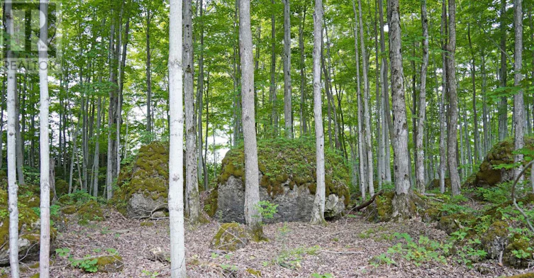 382488 17 Concession Road, Georgian Bluffs, ON, N0H 2T0 - 44