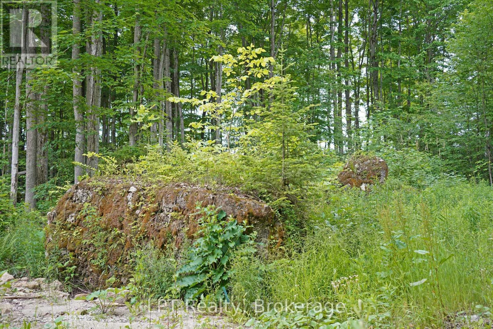 382488 17 Concession Road, Georgian Bluffs, ON, N0H 2T0 - 45