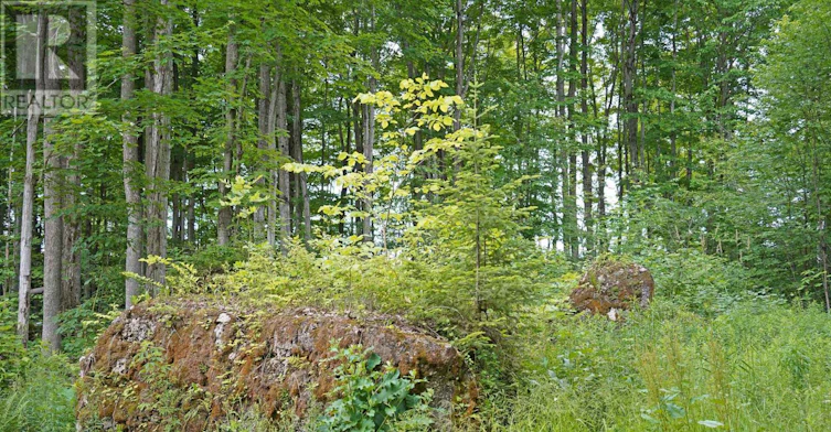 382488 17 Concession Road, Georgian Bluffs, ON, N0H 2T0 - 45
